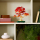 LEGO Botanicals 10348 Klon palmowy bonsai - 1331600 - zdjęcie 4